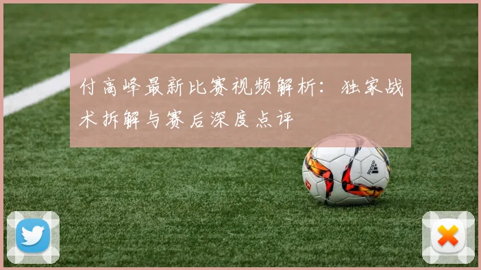 付高峰最新比赛视频解析:独家战术拆解与赛后深度点评