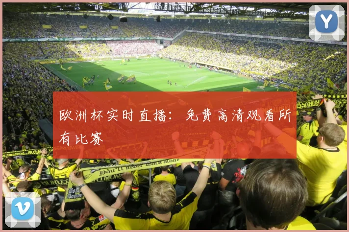 欧洲杯实时直播:免费高清观看所有比赛