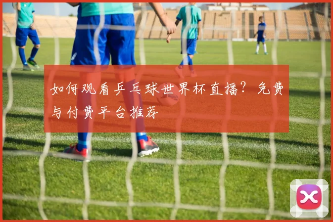 如何观看乒乓球世界杯直播？免费与付费平台推荐