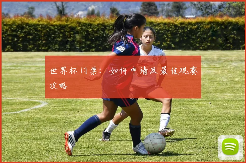 世界杯门票：如何申请及最佳观赛攻略